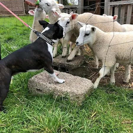 Country Anna Paulowna, Self Checkin شقة