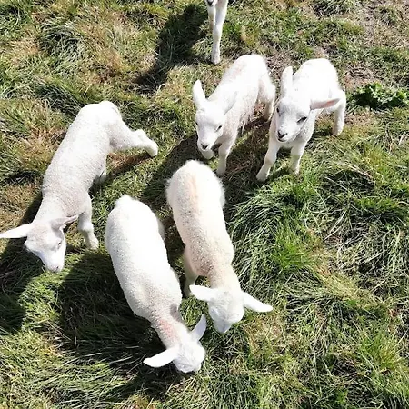 Country Anna Paulowna, Self Checkin شقة *