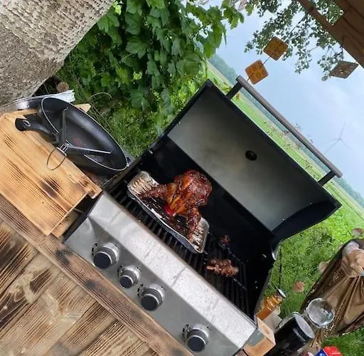 Country Anna Paulowna, Self Checkin