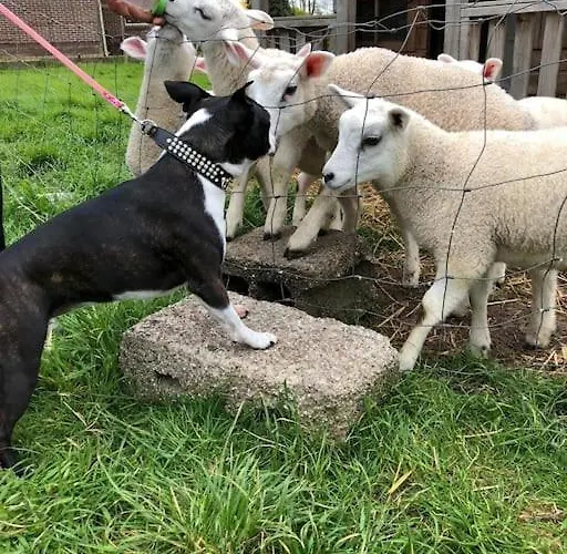 Country Anna Paulowna, Self Checkin Lejlighed