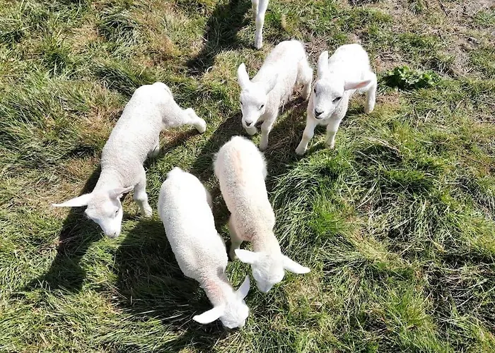 Country Anna Paulowna, Self Checkin Lejlighed *